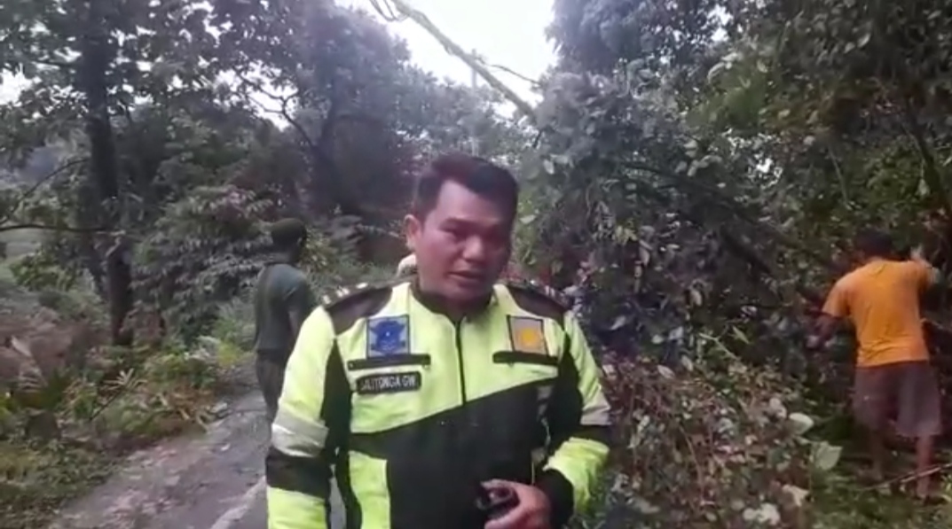 Jalur Medan-Berastagi Sempat Macet Akibat Longsor dan Pohon Tumbang