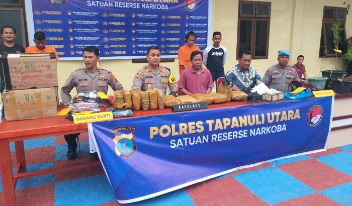 Petani di Taput Nekat Berladang Ganja Kering, Sekarang Masuk Bui