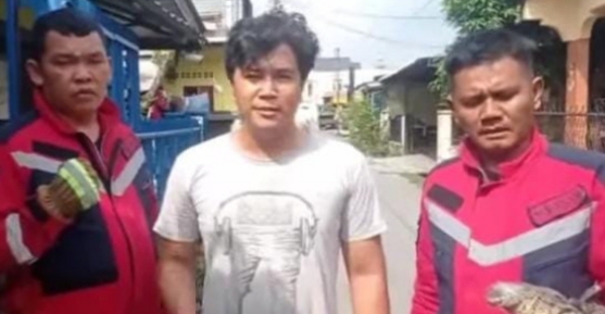 Sigap Evakuasi Biawak, Disdamkarmat Medan dapat 'Bintang Lima'