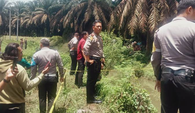 Diduga Dibunuh, Khairul Abdi Tarigan Ditemukan Mengambang di Parit Perkebunan PT Smart Pernantian