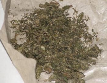 Pasutri di Deli Serdang Kompak Kirim Paket Ganja 5,5 Kg ke Tangerang