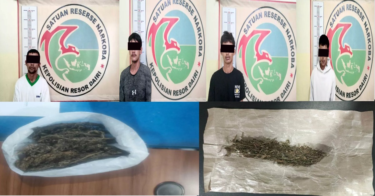 2 Remaja di Bawah Umur Nekat Jadi Pengedar Ganja di Kecamatan Sumbul