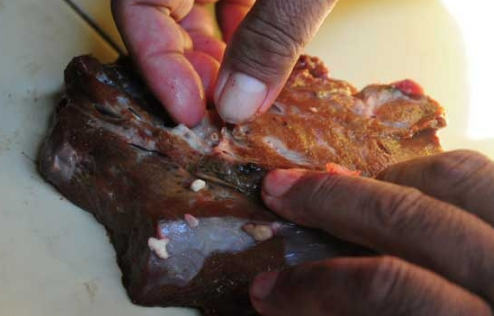 Waspadai Cacing Pita pada Daging Sapi, Simak Cara Memasaknya
