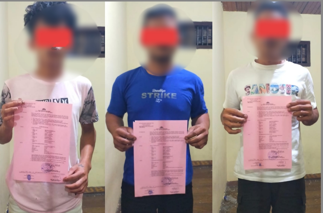 Ingin Makan Babi, 4 Pemuda di Samosir Ditangkap Warga saat Curi Ternak