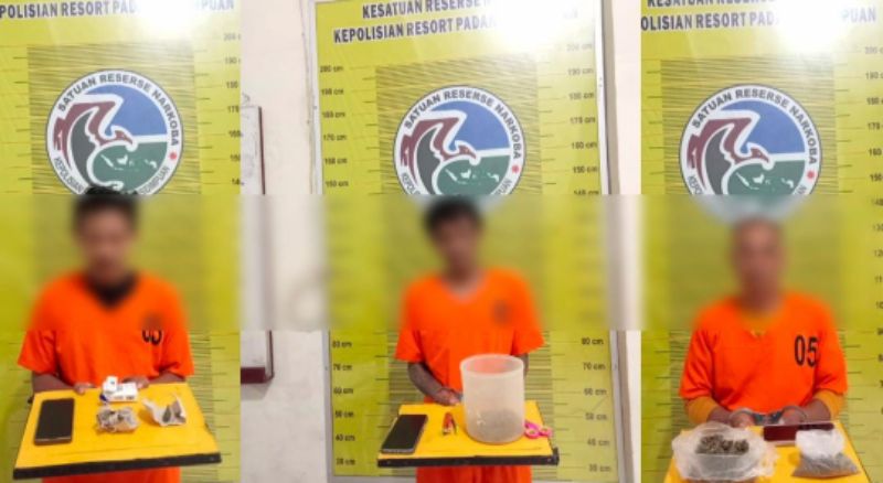 3 Pengedar Ganja di Tapanuli Selatan Diringkus Berurutan