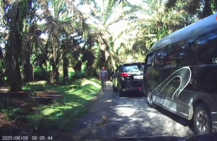 Pungli Marak di Wisata Tangkahan, Bupati Langkat Minta Polisi Tangkap Pelakunya