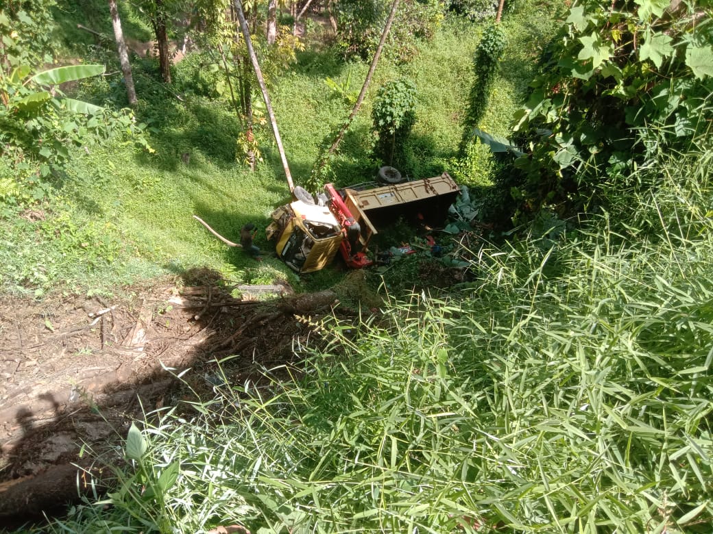 Truk Terjun ke Jurang, Sopir dan Penumpang Luka-luka