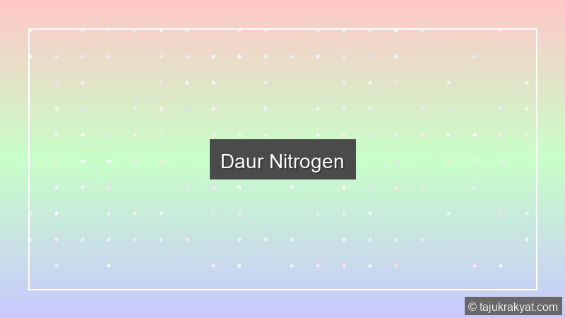 Daur Nitrogen