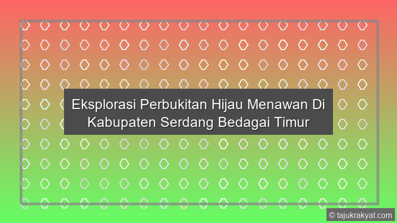 Eksplorasi Perbukitan Hijau Menawan Di Kabupaten Serdang Bedagai Timur