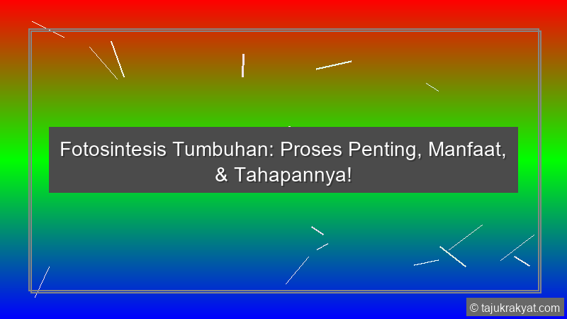 Fotosintesis Tumbuhan: Proses Penting, Manfaat, & Tahapannya!