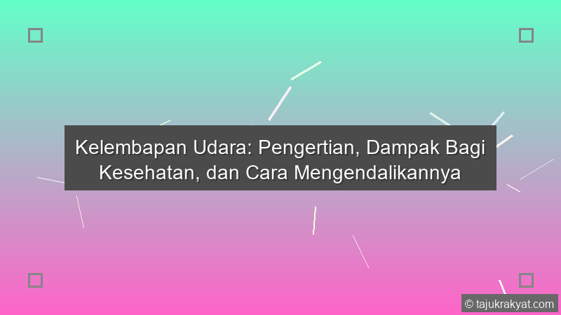 Kelembapan Udara: Pengertian, Dampak Bagi Kesehatan, dan Cara Mengendalikannya