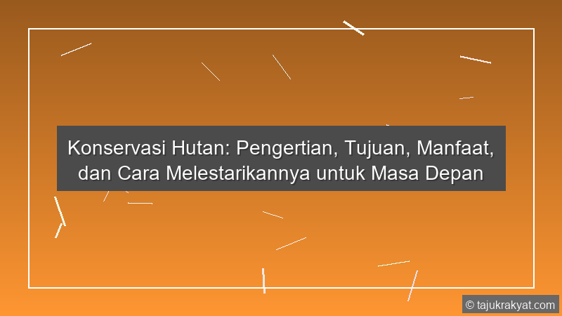 Konservasi Hutan: Pengertian, Tujuan, Manfaat, dan Cara Melestarikannya untuk Masa Depan
