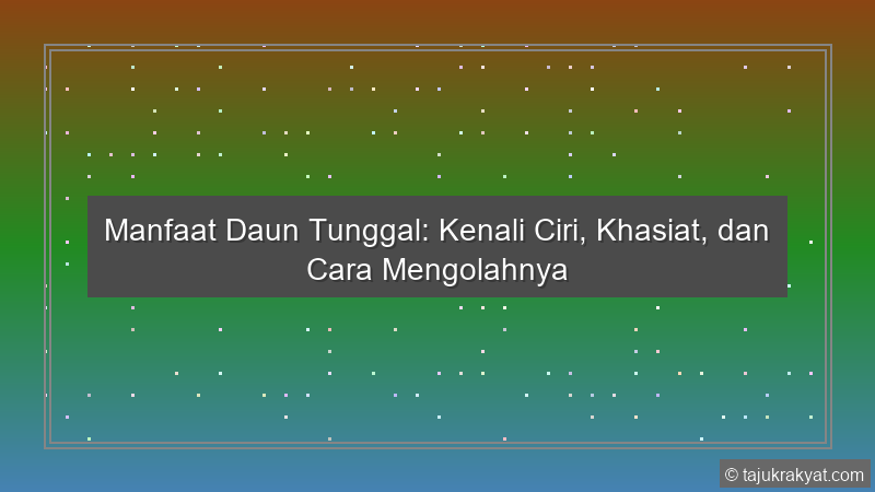 Manfaat Daun Tunggal: Kenali Ciri, Khasiat, dan Cara Mengolahnya