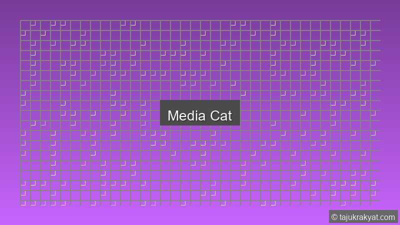 Media Cat