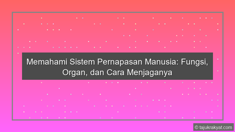 Memahami Sistem Pernapasan Manusia: Fungsi, Organ, dan Cara Menjaganya