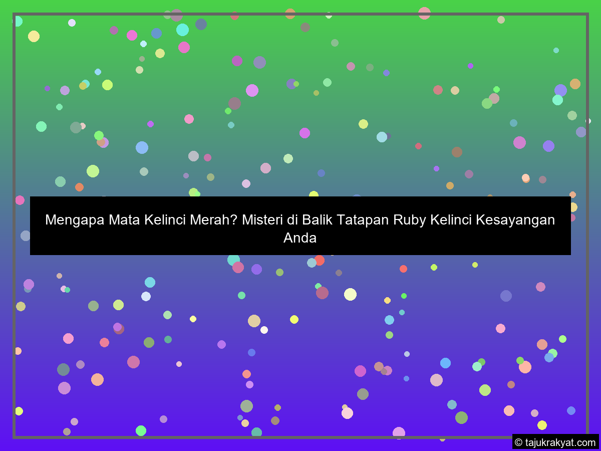 Mengapa Mata Kelinci Merah? Misteri di Balik Tatapan Ruby Kelinci Kesayangan Anda