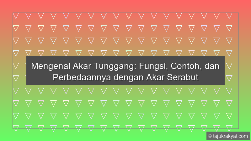 Mengenal Akar Tunggang: Fungsi, Contoh, dan Perbedaannya dengan Akar Serabut