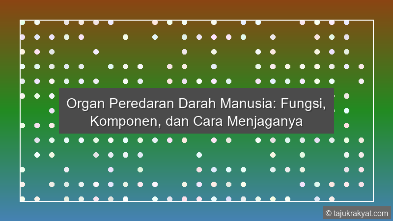Organ Peredaran Darah Manusia: Fungsi, Komponen, dan Cara Menjaganya