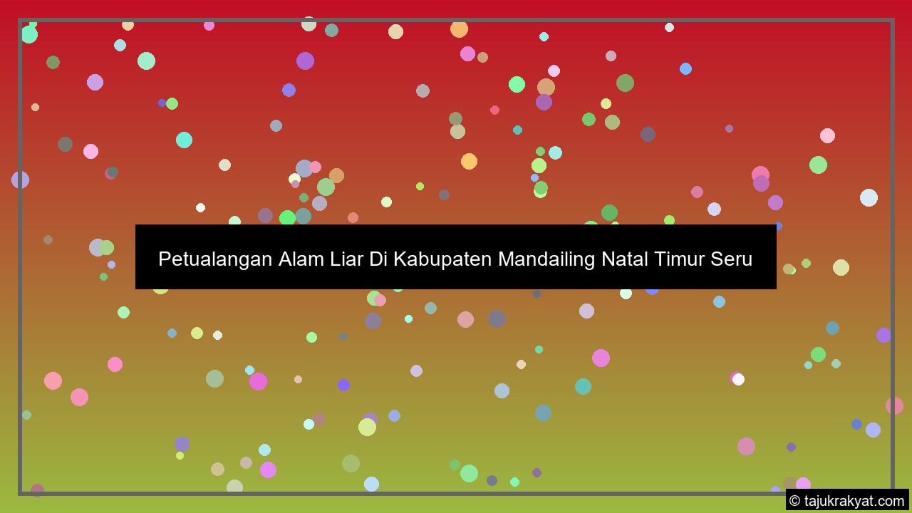 Petualangan Alam Liar Di Kabupaten Mandailing Natal Timur Seru