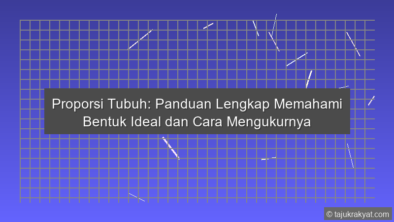 Proporsi Tubuh: Panduan Lengkap Memahami Bentuk Ideal dan Cara Mengukurnya