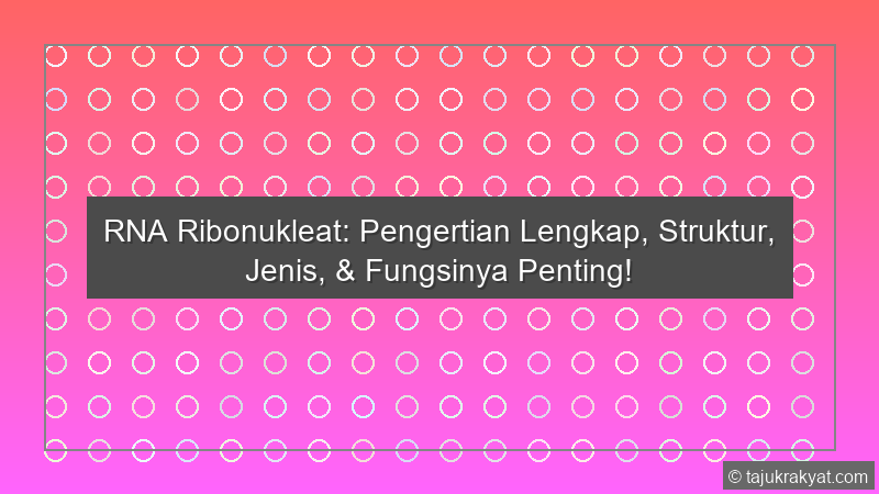 RNA Ribonukleat: Pengertian Lengkap, Struktur, Jenis, & Fungsinya Penting!