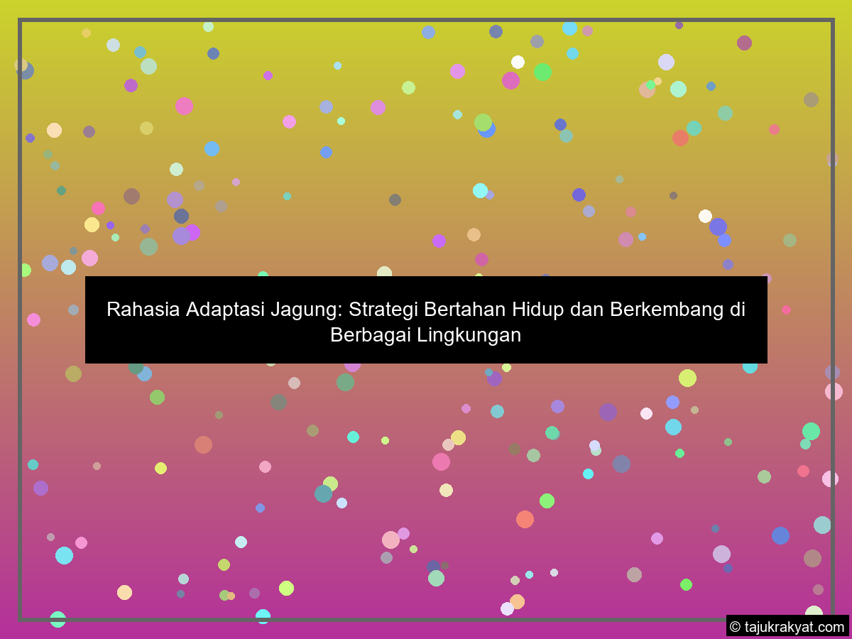 Rahasia Adaptasi Jagung: Strategi Bertahan Hidup dan Berkembang di Berbagai Lingkungan