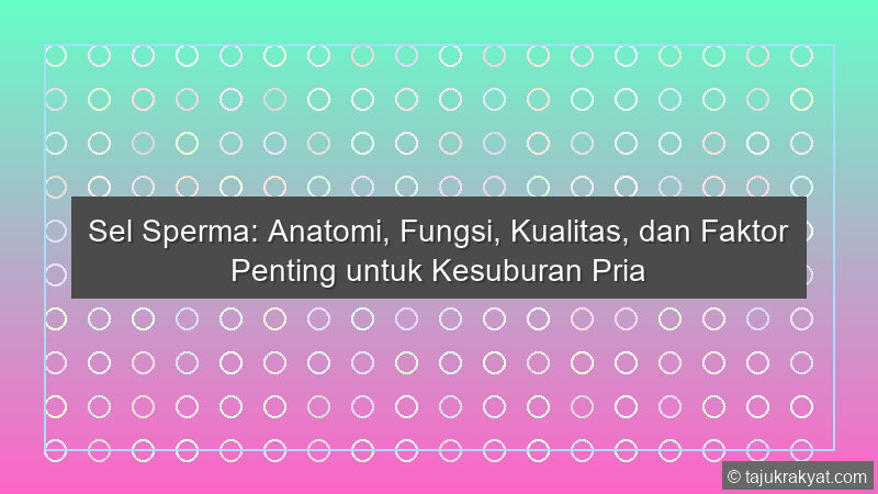 Sel Sperma: Anatomi, Fungsi, Kualitas, dan Faktor Penting untuk Kesuburan Pria