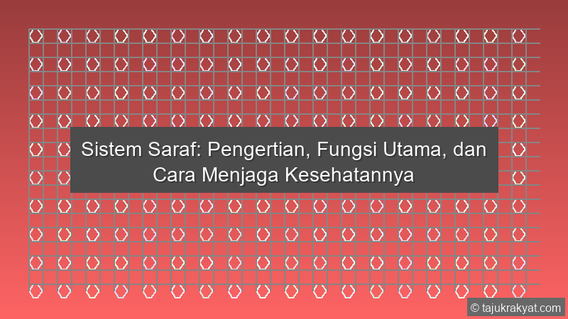 Sistem Saraf: Pengertian, Fungsi Utama, dan Cara Menjaga Kesehatannya