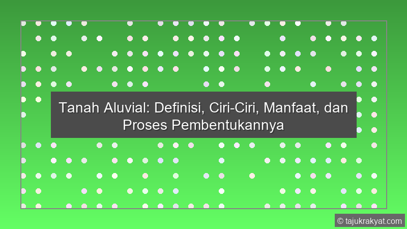 Tanah Aluvial: Definisi, Ciri-Ciri, Manfaat, dan Proses Pembentukannya