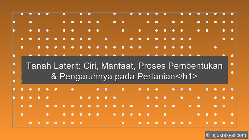 Tanah Laterit: Ciri, Manfaat, Proses Pembentukan & Pengaruhnya pada Pertanian</h1>