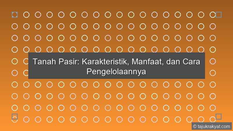 Tanah Pasir: Karakteristik, Manfaat, dan Cara Pengelolaannya