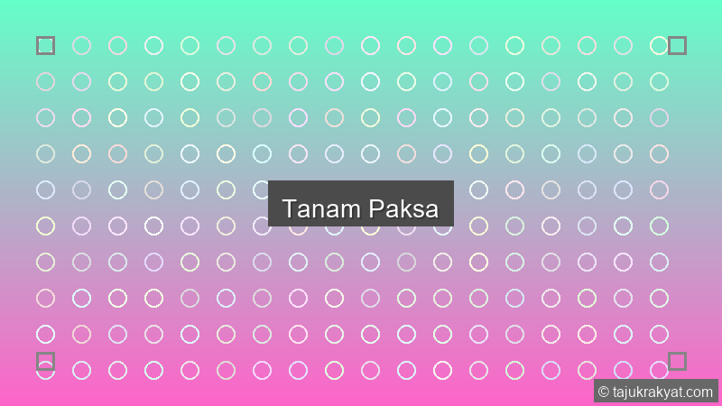 Tanam Paksa