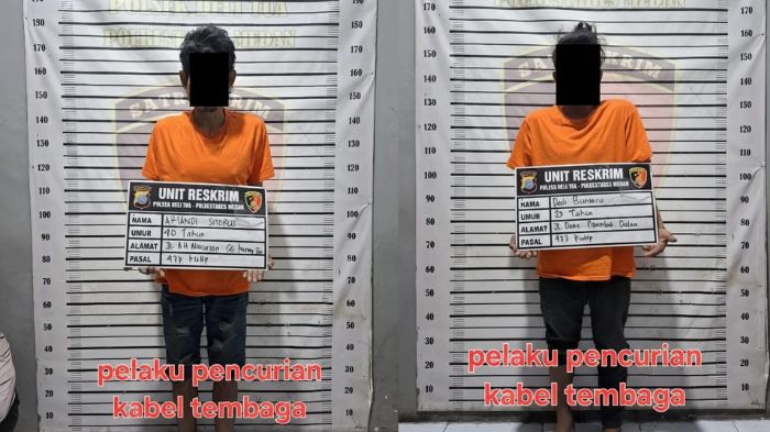 Maling Kabel yang Beraksi Siang Bolong di Flyover Jamin Ginting Langsung Diciduk