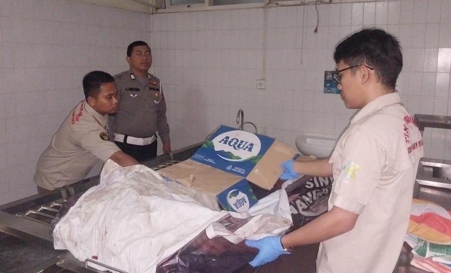 Tragis ! Usai Ditabrak Vixion, Pejalan Kaki Tewas Terlindas Truk
