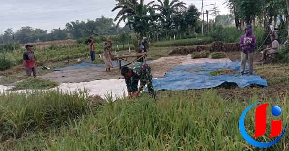 Mentan Pastikan Cadangan Pangan Nasional Aman hingga 324 Hari