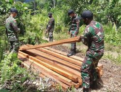 Petugas TNGL Ringkus Dua Pria Asal Aceh yang Bawa Kayu Hasil Ilegal Logging