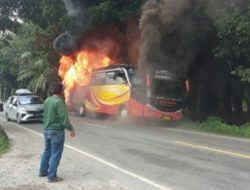 Bus PT Pelita Paradep Taxi Terbakar, Api Berkobar di Bagian Belakang