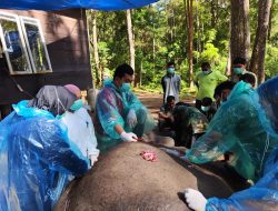 Gajah Penghuni ANECC Mati