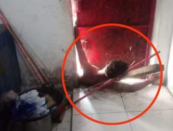 Kualat, Pembobol Rumah Tertimpa Balok dan Terjepit Pintu Besi saat Beraksi