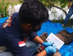 Mayat Bertato Kampak Nyangkut di Sungai, Kapolsek Percut : Tidak Ditemukan Tanda-tanda Kekerasan