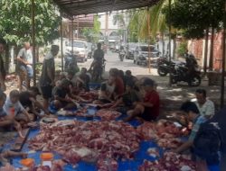 Idul Adha 1444 H, Ladon Club Indonesia Sembelih 5 Lembu dan 5 Kambing