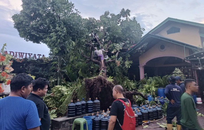 Rumah warga nyaris tertimpa pohon tumbang di Jalan Pijar Prodi No 36, Kelurahan Beringin, Kecamatan Medan Selayang, Kota Medan, Senin (12/6/2023).