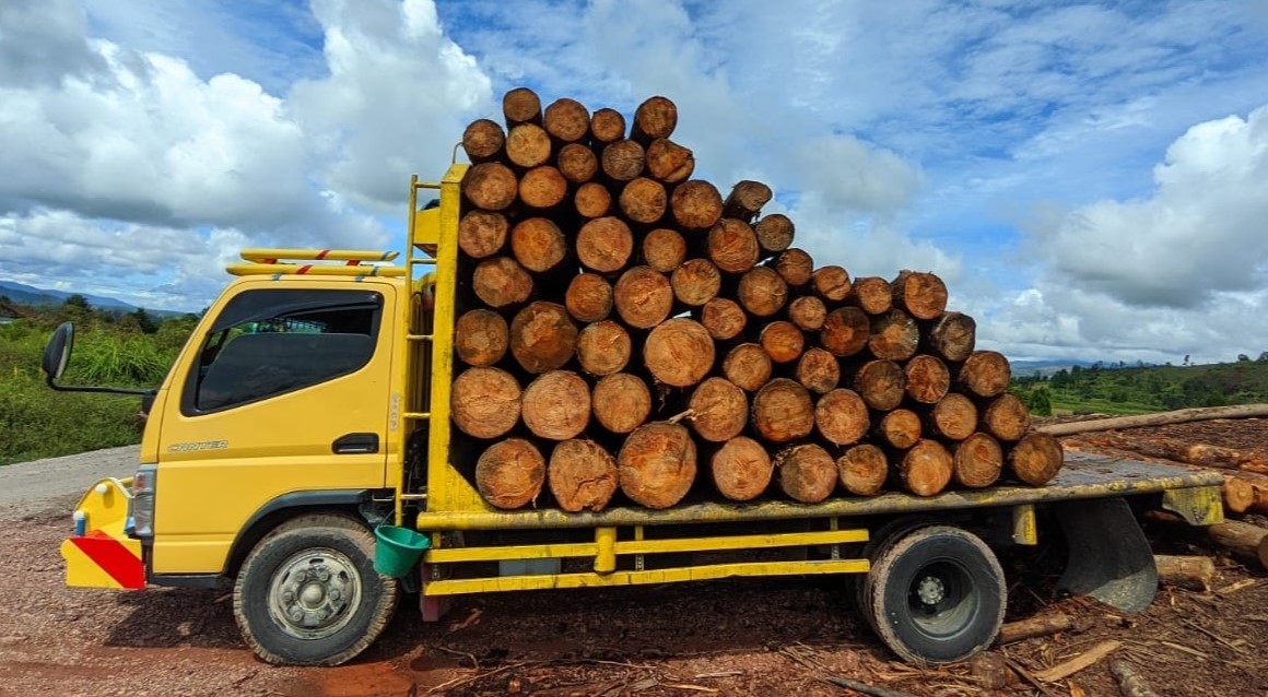 Polisi hutan DLHK Sumut menangkap sopir yang membawa truk bermuatan 92 kayu pinus gelondingan diduga hasil illegal logging