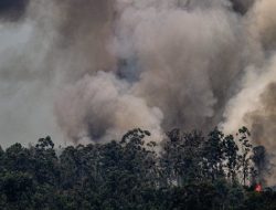 BMKG Pantau 23 Titik Panas di Sumut, Ini Lokasinya