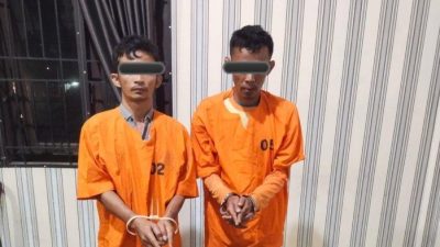 Dua pengedar ganja yang ditangkap petugas Sat Res Narkoba Polres Karo di perladangan sawit