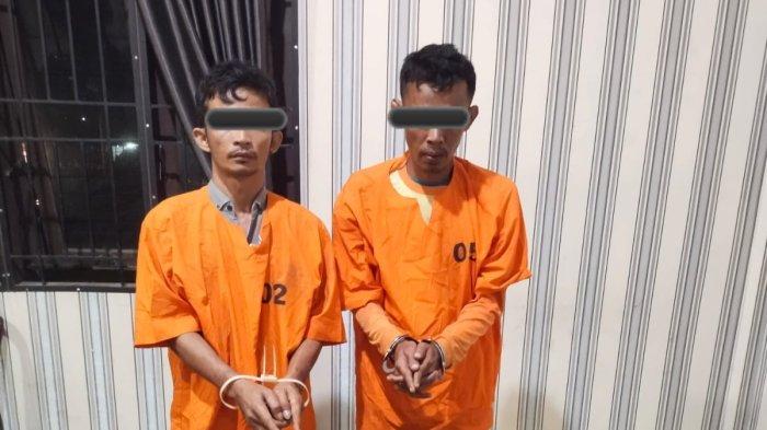 Dua pengedar ganja yang ditangkap petugas Sat Res Narkoba Polres Karo di perladangan sawit