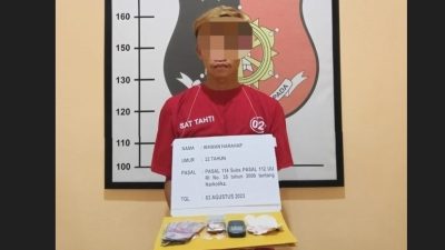 WH, pengedar sabu level kampung ditangkap Polsek Padang Bolak