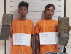 Dua Kurir Gagal Edarkan 133 Kg Ganja asal Aceh