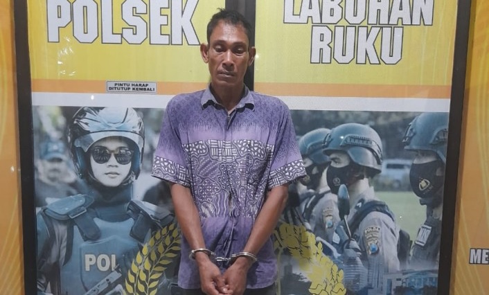 Basri alias Ipit, tersangka DPO pembobol rumah yang ditangkap Polsek Labuhanruku.