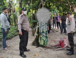 Wanita Paruh Baya Nekat Akhiri Hidup di Pohon Nangka, Leher Terjerat Selendang